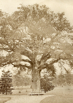 1875, création du Parc Giscours