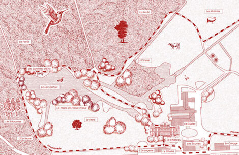 Plan of the Park and the Forest