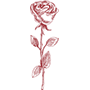 rose2_rouge