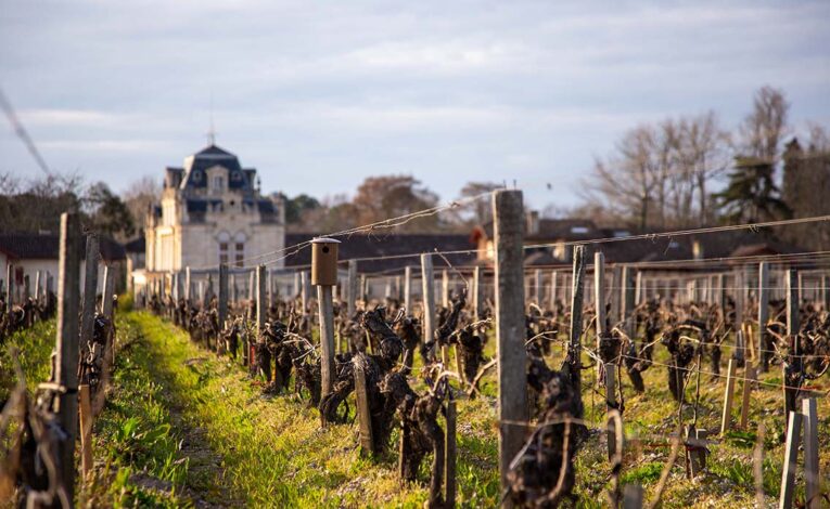 Château Giscours, a wine estate using agroecology