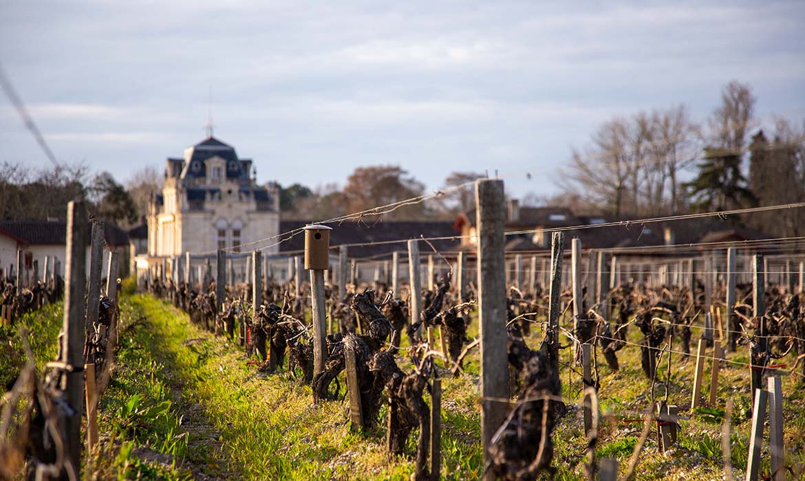 Château Giscours, un domaine viticole en agro-écologie